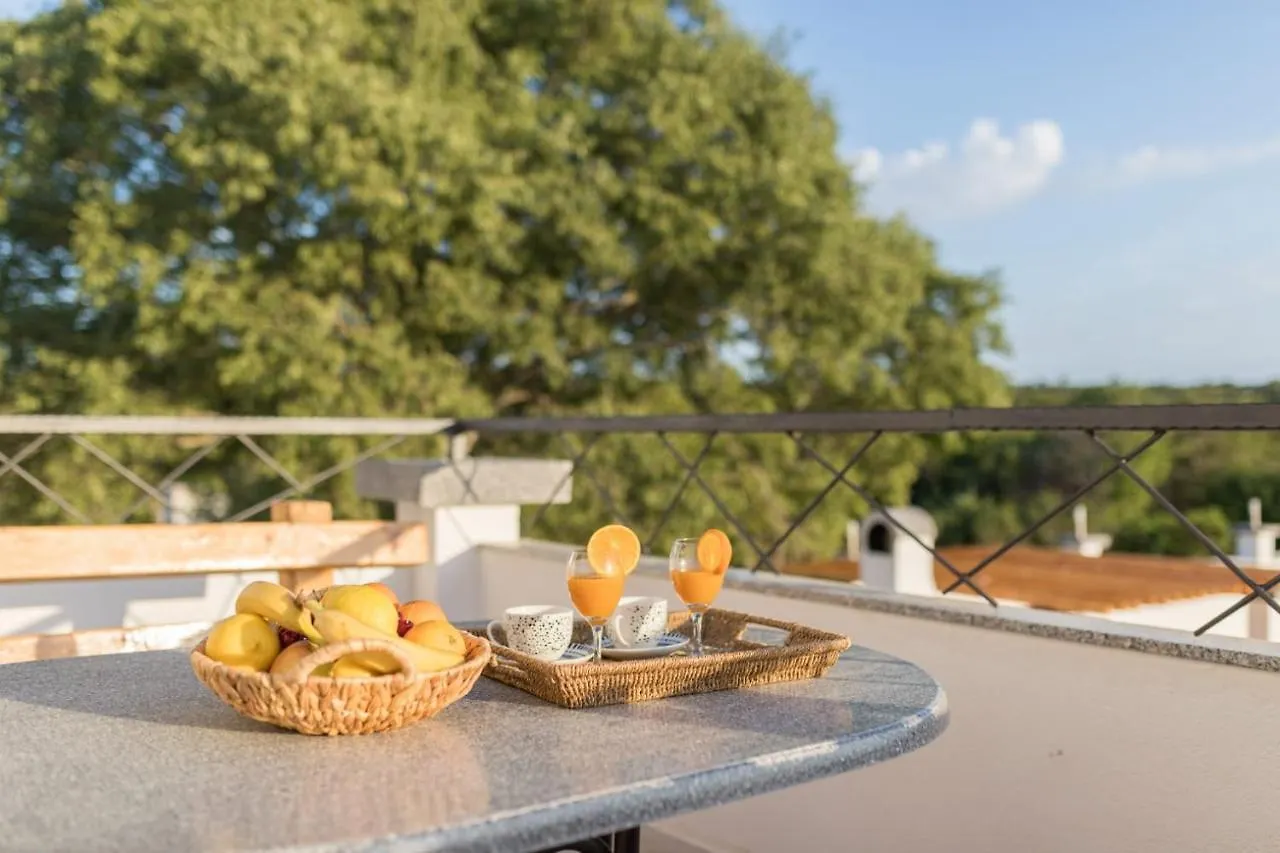 Villa Olana Zadar