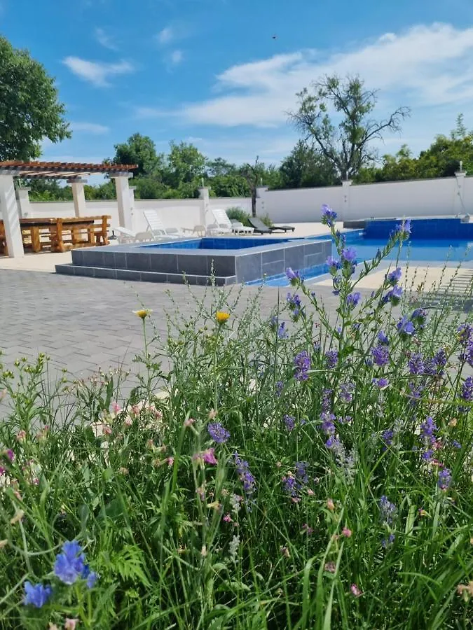 Villa Olana Zadar