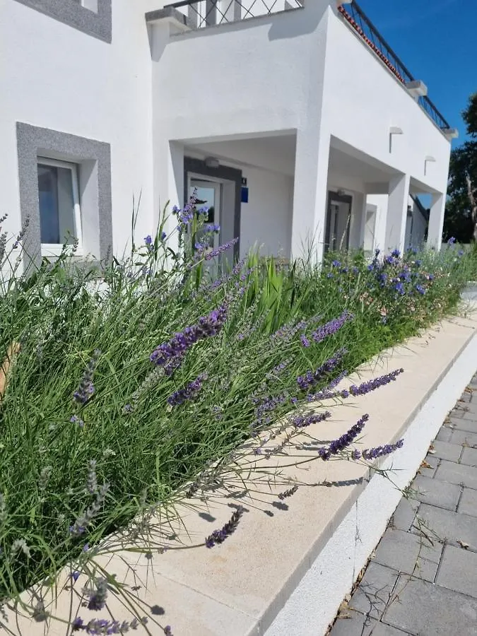 Villa Olana Zadar